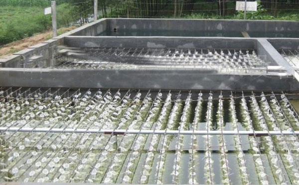 ���׏Uˮ̎�������O(sh��)��a(ch��n)Ʒ��(y��u)��(sh��)